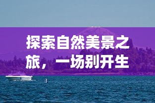 貌美如花