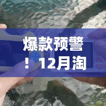 鸟革翬飞