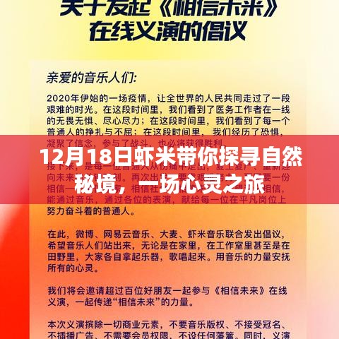 12月18日虾米带你走进自然秘境的心灵之旅