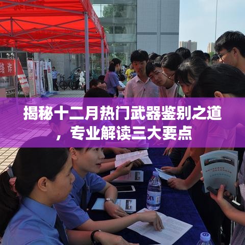 揭秘十二月武器鉴别三大要点，专业解读助你洞悉真相
