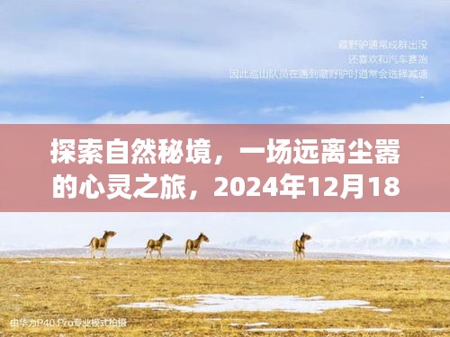 探索自然秘境，心灵之旅启程，相约在冬日的约定
