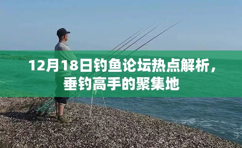 12月18日钓鱼论坛热点解析，垂钓高手聚集地揭秘