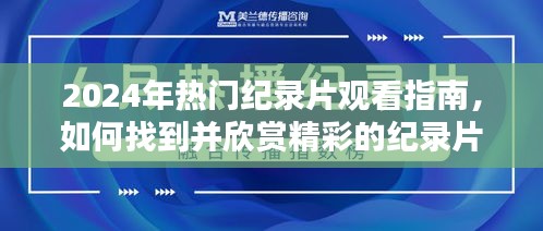 2024年热门纪录片观看指南，发现与欣赏精彩纪录片的艺术