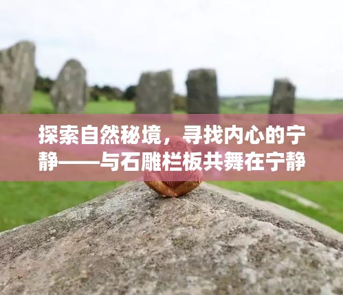 张狂妄行