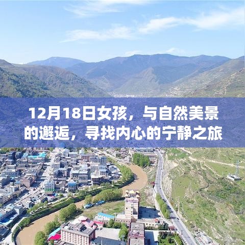 飞蝗芜湖