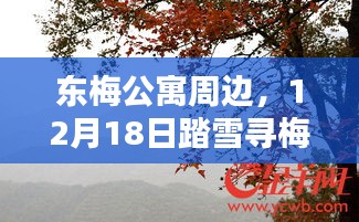 子母门 第9页
