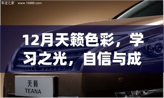 学习之光，自信与成就感的源泉——12月天籁色彩