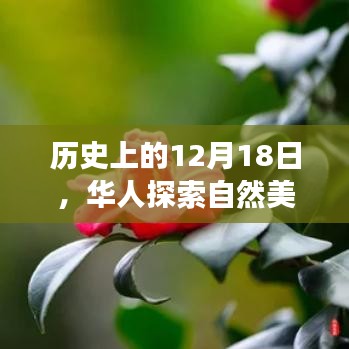 华人自然探索之旅，历史上的奇妙探险日回顾