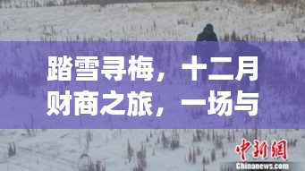 踏雪寻梅启智十二月财商之旅，与自然深度对话的启示