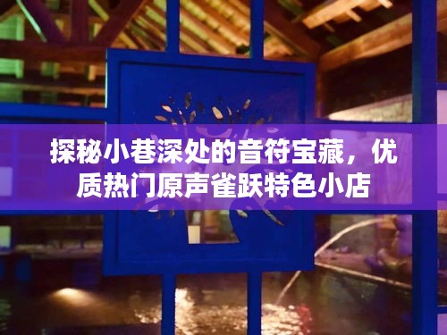 小巷深处的音符宝藏，探寻特色小店的原声魅力
