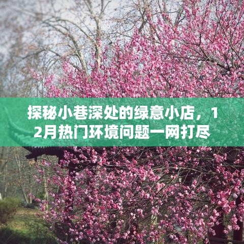 探秘小巷深处的绿意小店，揭秘十二月环境问题热点