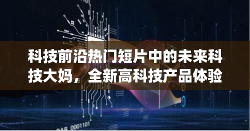 林下风气
