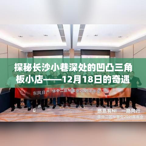 自由自在
