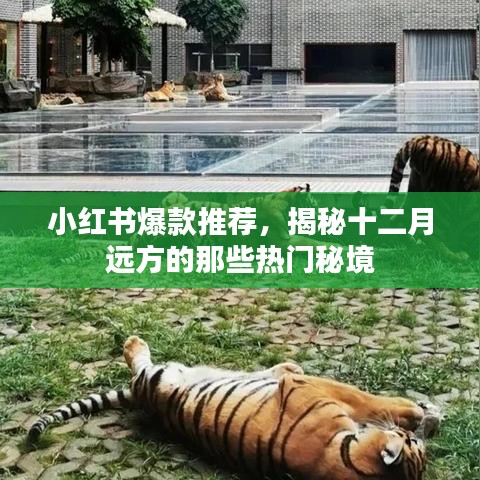 小红书爆款秘境揭秘，十二月热门秘境大放送！