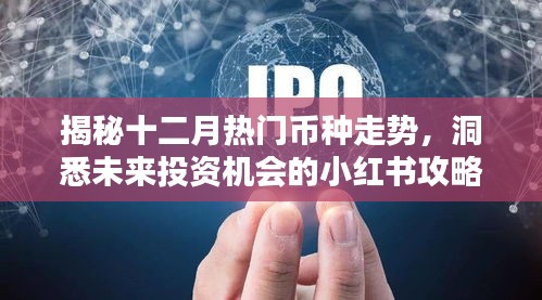 揭秘十二月热门币种走势，小红书攻略助你洞悉未来投资机会