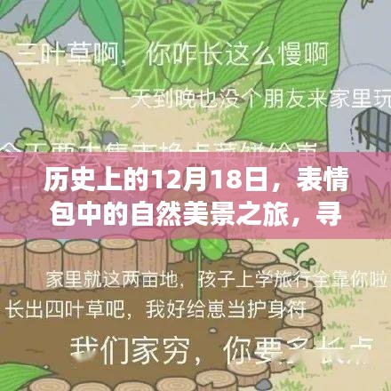 表情包与自然美景之旅，历史上的12月18日寻找内心的平和与宁静