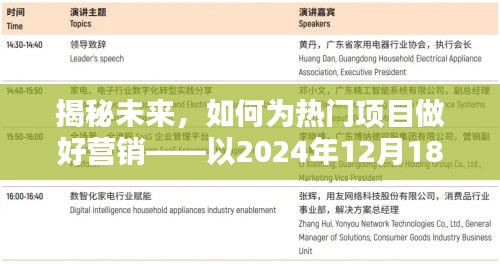 揭秘未来热门项目的营销策略，以2024年12月18日为焦点展开探讨
