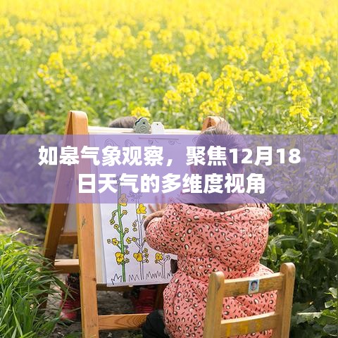 如皋气象观察，聚焦天气多维度视角，解读12月18日天气变化