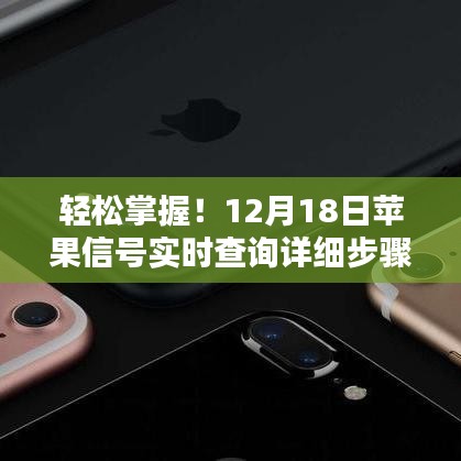 12月18日苹果信号实时查询，详细步骤指南助你轻松掌握