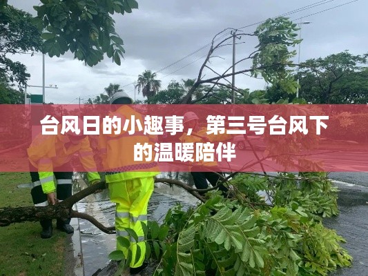 台风日下的温暖陪伴，第三号台风中的小趣事