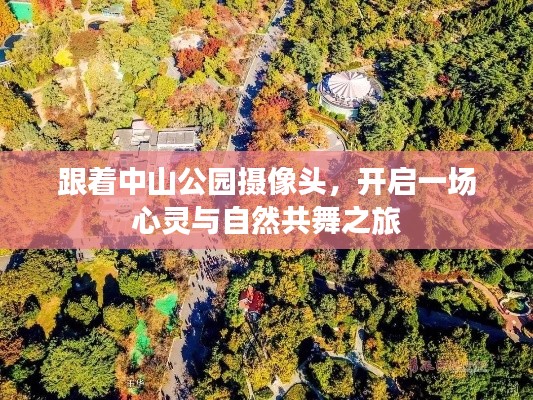 子母门 第5页