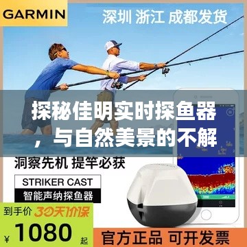 乌鸟之情