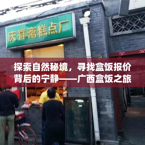 广西盒饭之旅，探寻自然秘境与宁静报价的奇妙旅程