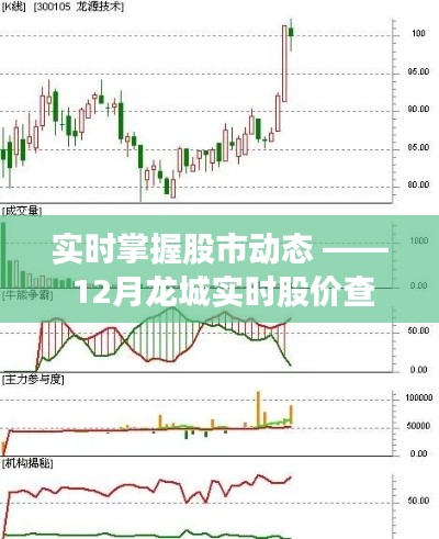 实时掌握股市动态，龙城股价查询网深度解析