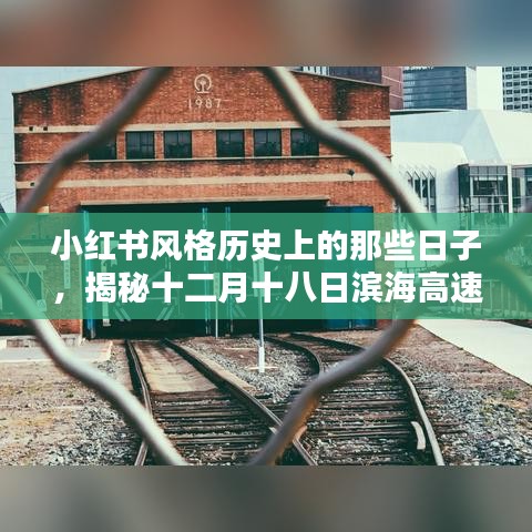小红书风格揭秘，滨海高速公路十二月十八日时空隧道路况纪实