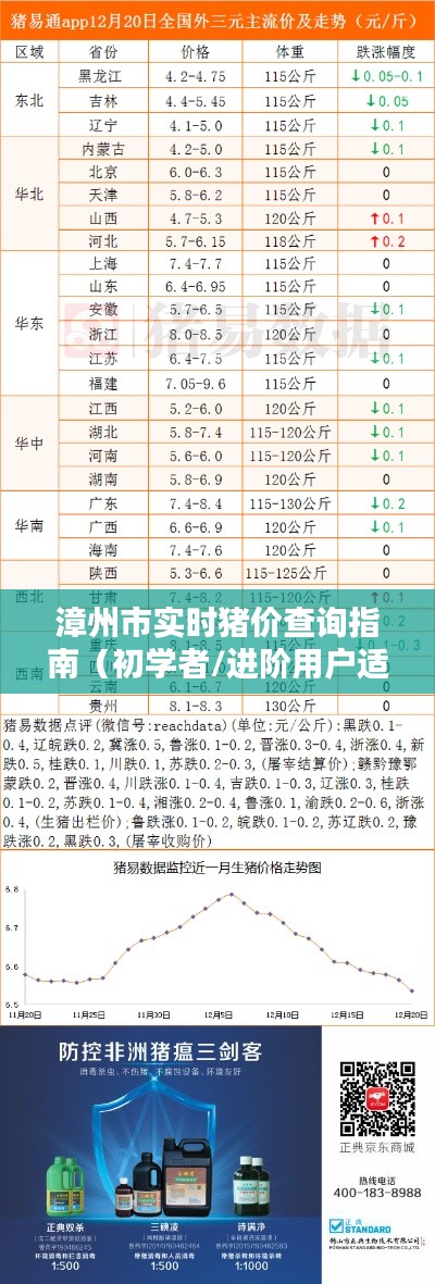 漳州市实时猪价查询指南，初学者与进阶用户必备指南