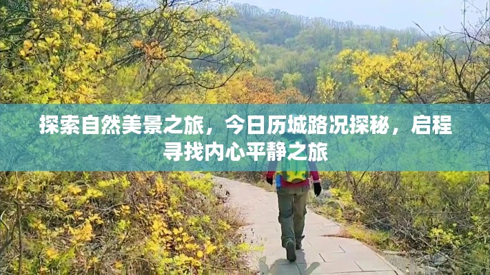 今日启程，探索自然美景，历城路况探秘之旅，寻找内心平静之旅