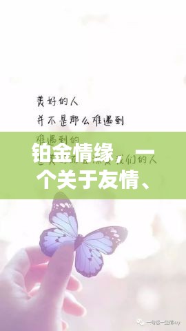 铂金情缘，友情与爱情的闪耀篇章