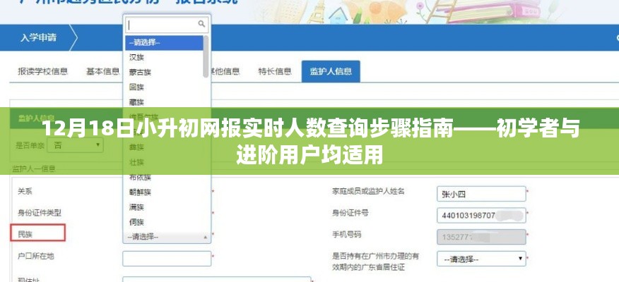 小升初网报实时人数查询指南，适用于初学者与进阶用户