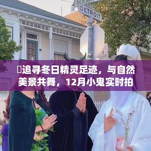 12月小鬼探险之旅，追寻冬日精灵，与自然美景共舞实时拍照之旅