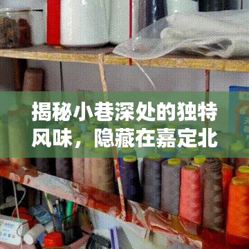 探寻嘉定北开发区小巷深处的独特风味，未知未来之火的小店之旅