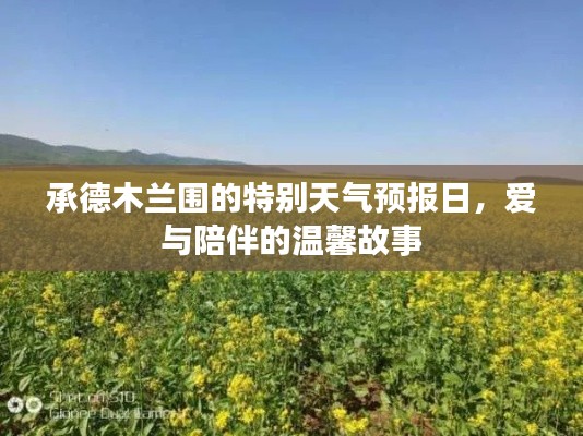 承德木兰围特别天气预报日，爱与陪伴的温馨篇章