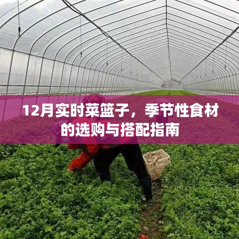 12月季节性食材选购与搭配指南，实时菜篮子指南