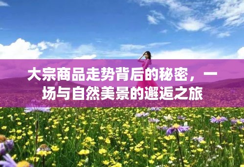 大宗商品走势背后的秘密，与自然美景的交融探索之旅