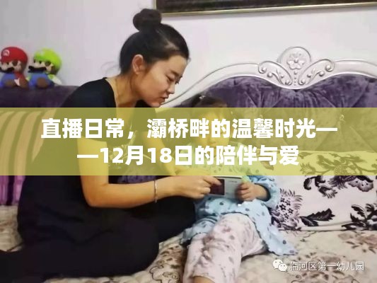 灞桥畔的温馨直播日常，陪伴与爱的见证 12月18日特别篇