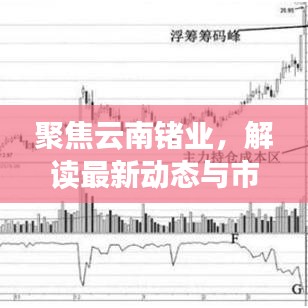 聚焦云南锗业最新动态与市场展望（实时更新）