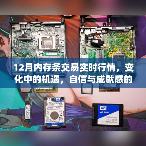 12月内存条交易实时行情，把握变化中的机遇，体验成就感的源泉