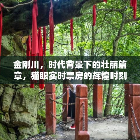 金刚川，时代背景下的壮丽篇章，实时票房辉煌创纪录