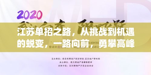 江苏单招之路，挑战变机遇，勇攀高峰之旅